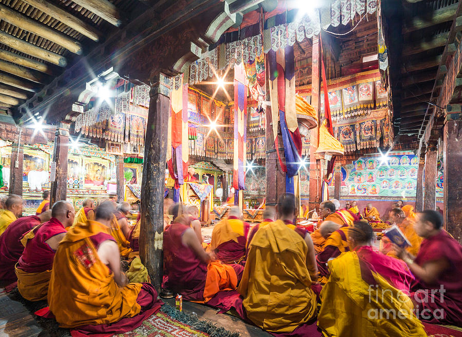 Buddhist monks praying in Thiksay monastery #1 Photograph by Didier Marti