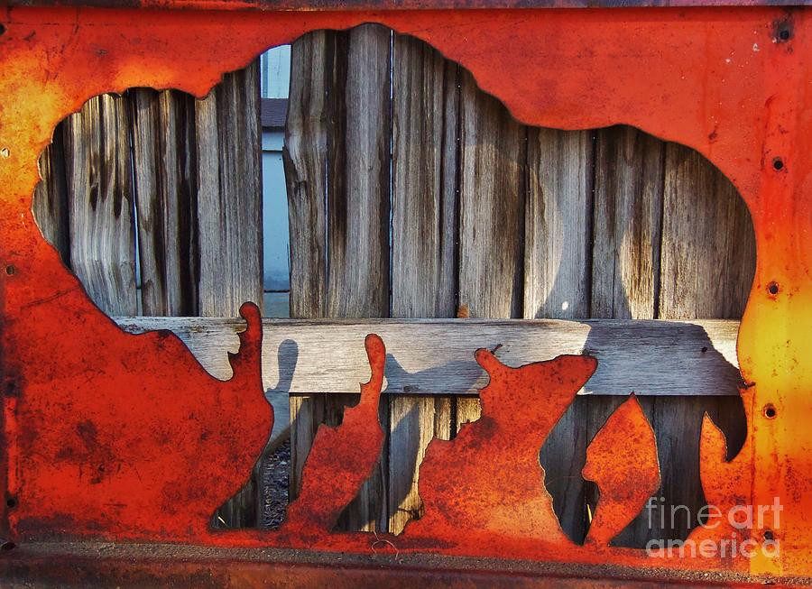 Wooden Buffalo 1 Photograph by Larry Campbell
