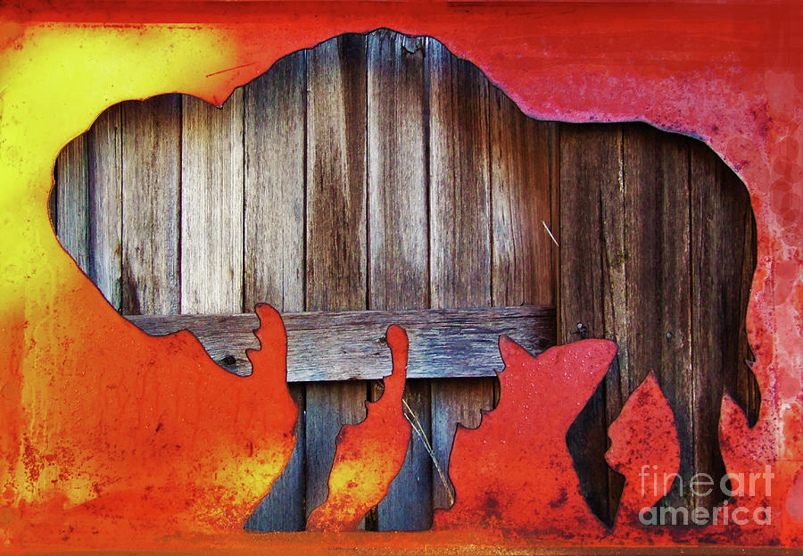 Wooden Buffalo 2 Photograph by Larry Campbell