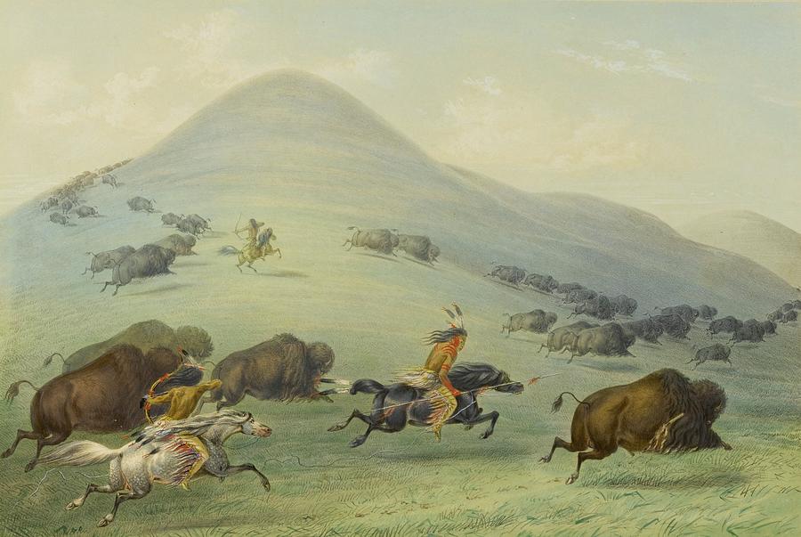 Buffalo Chase #1 Painting by George Catlin