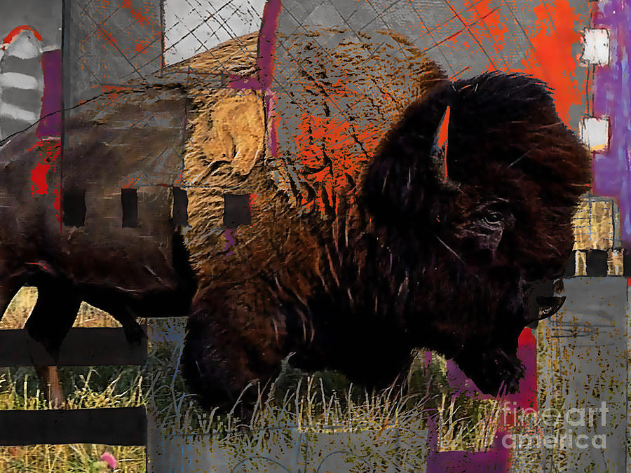 Buffalo Collection #1 Mixed Media by Marvin Blaine