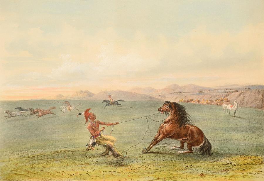 Buffalo Hunt on Snow Shoes #1 Painting by George Catlin