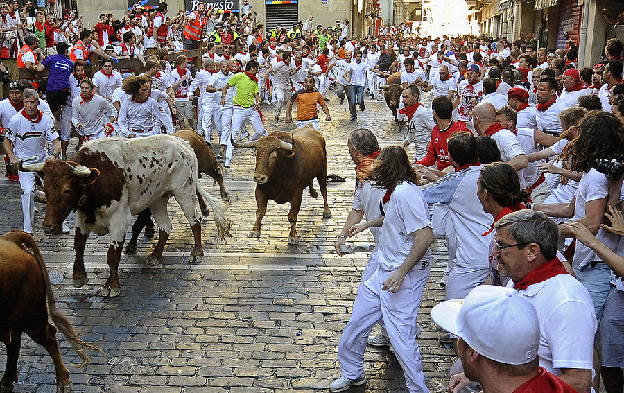 Bull Run 12 Photograph by Rafa Rivas - Fine Art America