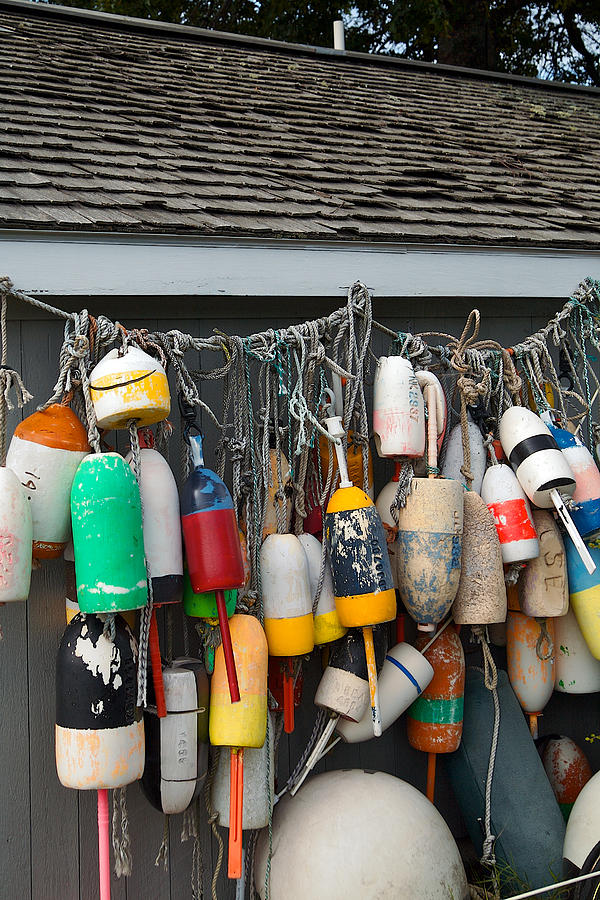 Buoys Photograph by Lawrence Boothby