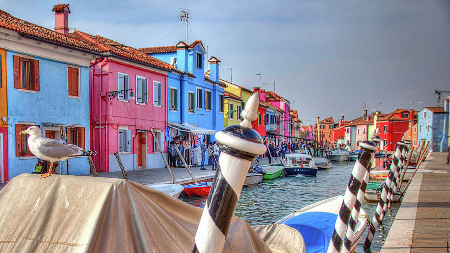 Burano Venice Italy #1 Photograph by Paul James Bannerman