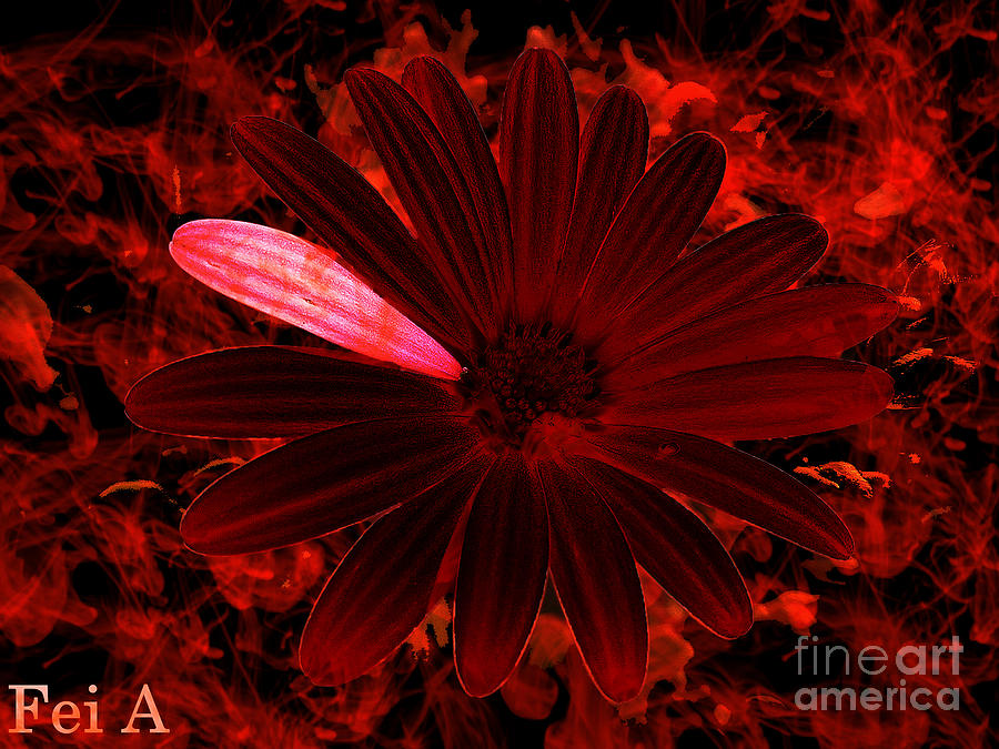 Digital Photograph - Burning Desire #2 by Fei A