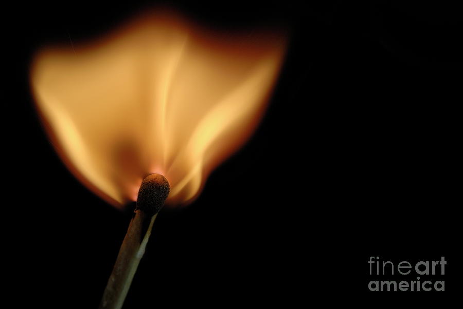 Burning match #1 Photograph by Sami Sarkis