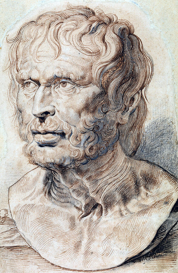 Bust of Pseudo-Seneca #2 Drawing by Peter Paul Rubens