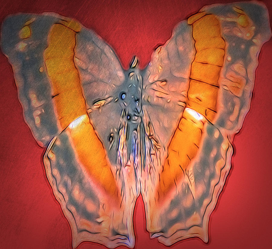 Butterfly 3 #1 Digital Art by Cathy Anderson