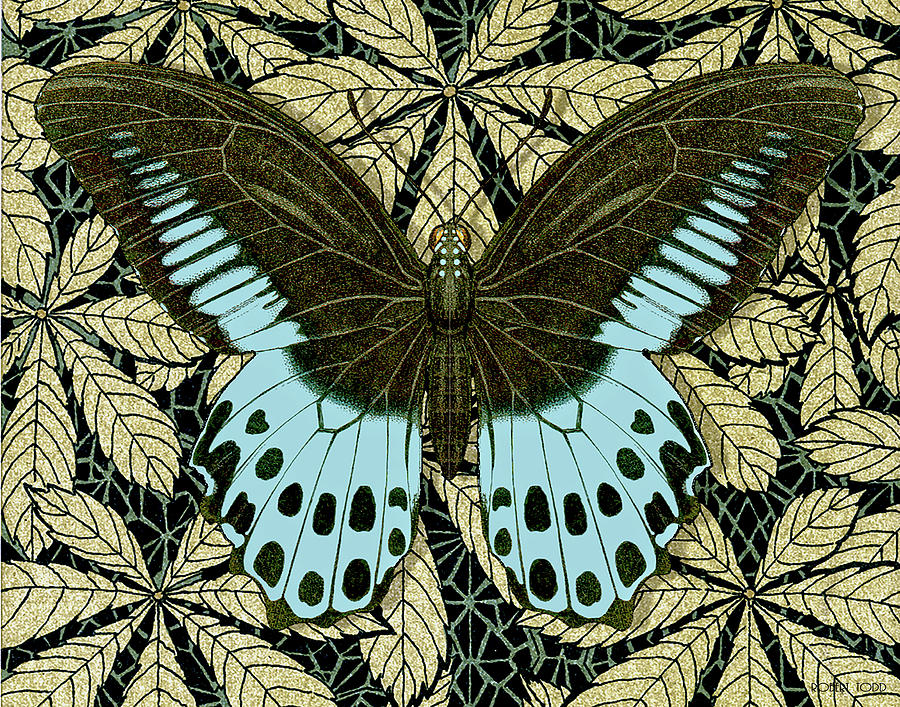Butterfly 30 Mixed Media by Robert Todd - Fine Art America