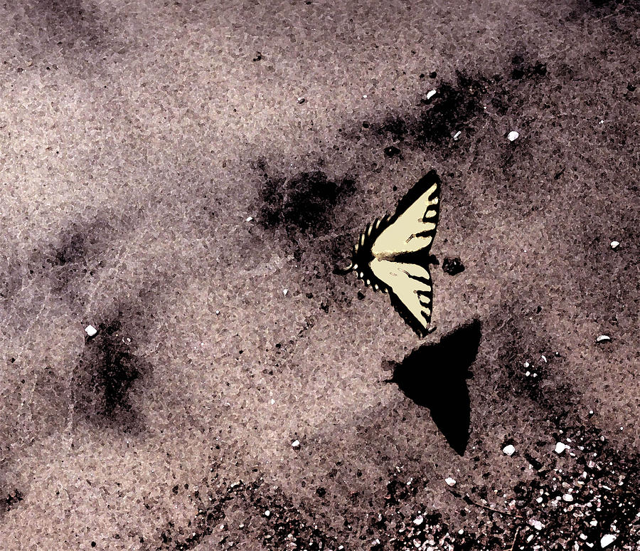 Butterfly and Sand WC #1 Photograph by Lyle Crump
