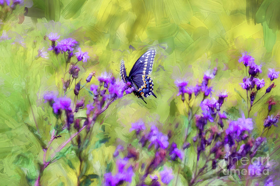 Butterfly Beauty #1 Photograph by Kerri Farley