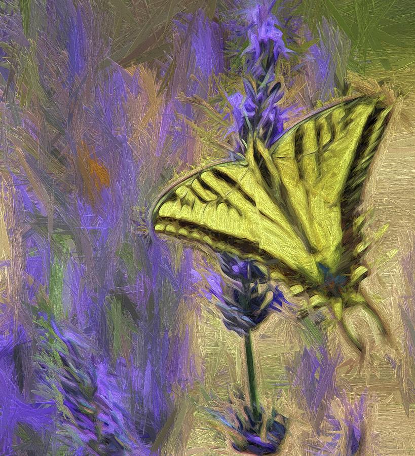 Butterfly in Lavender #1 Photograph by Karen Jensen