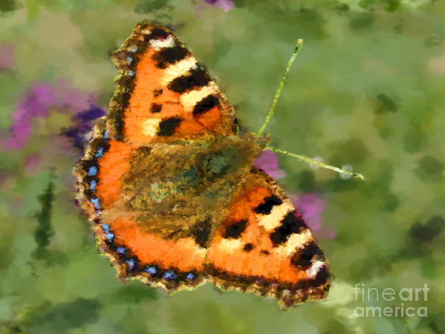 Butterfly #1 Mixed Media by Miroslav Nemecek
