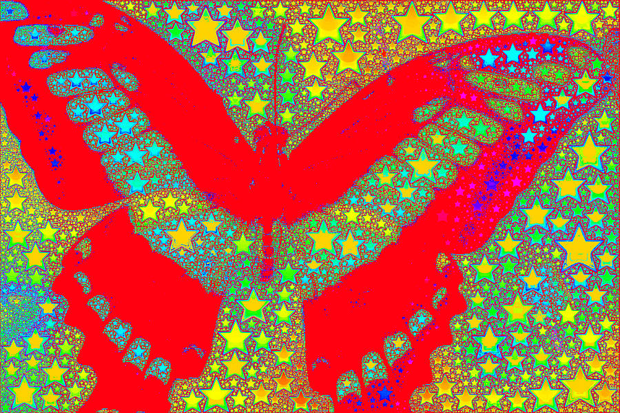 Butterfly Stars #1 Photograph by Bill Owen