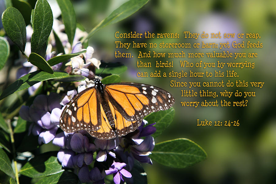 Butterfly with Scripture #1 Photograph by Linda Phelps
