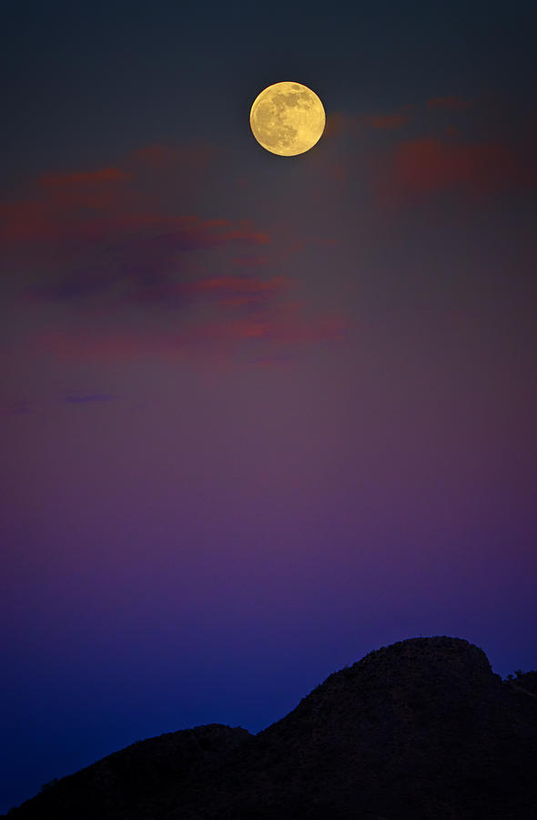 By The Light of the Full Moon  #2 Photograph by Saija Lehtonen