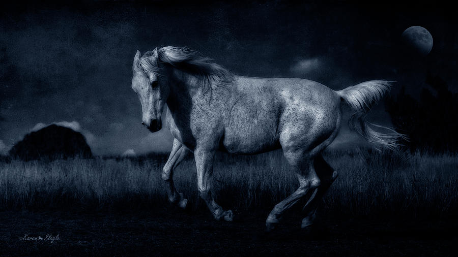 By the Light of the Silvery Moon #1 Photograph by Karen Slagle