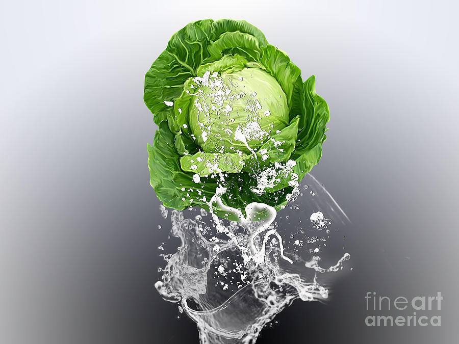 Home Mixed Media - Cabbage Splash #1 by Marvin Blaine