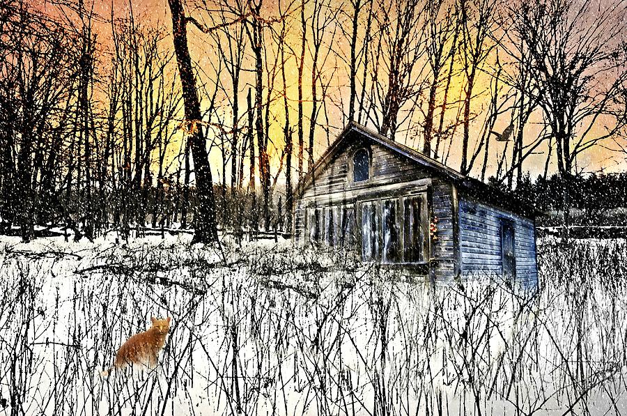 Cabin Fever #1 Photograph by Diana Angstadt