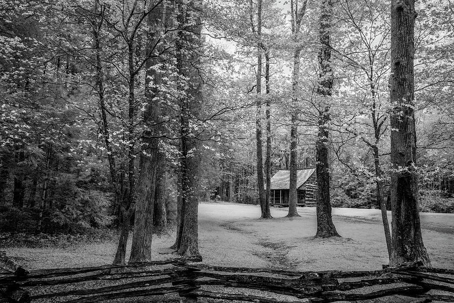 Black And White Photograph - Cabin in Cades Cove #1 by Jon Glaser