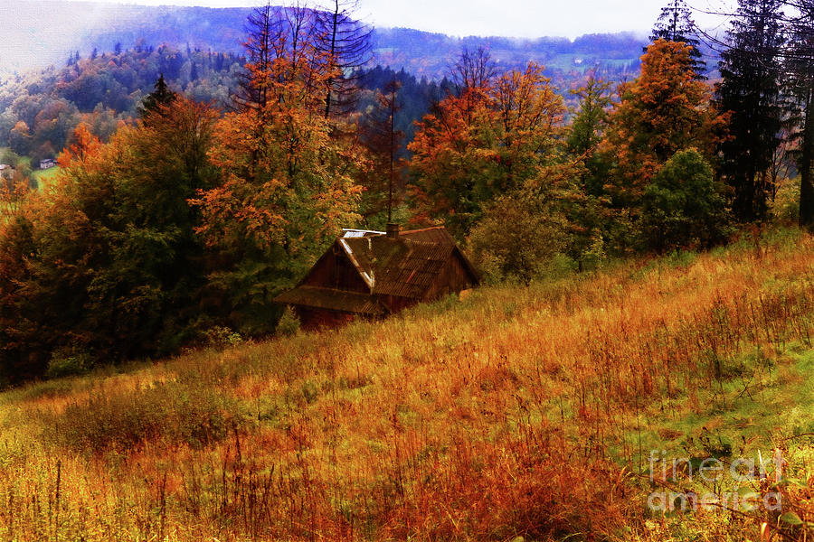 Nature Photograph - Cabin In The Woods #1 by Mariola Bitner