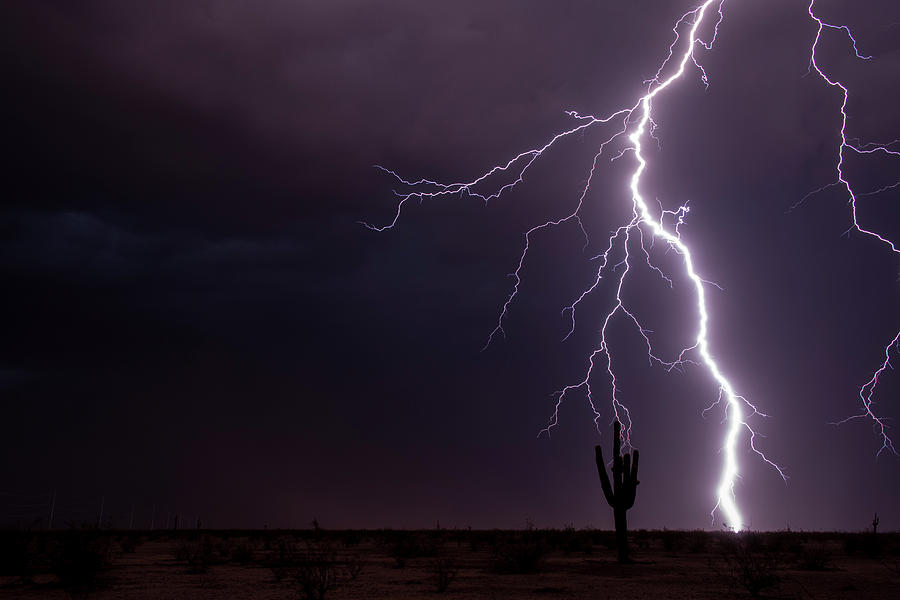 Desert Lightning Photograph