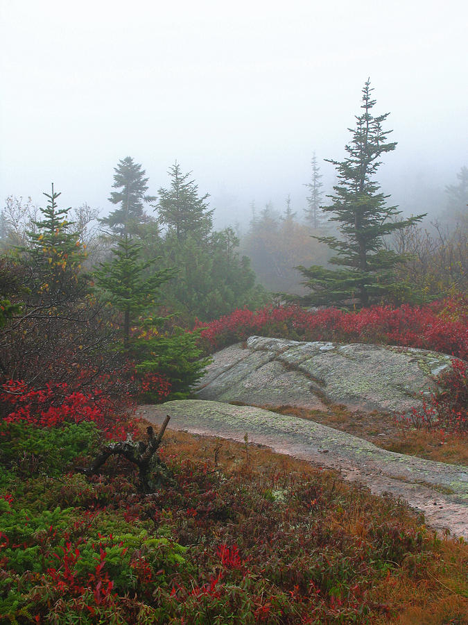 Acadia National Park Photograph - Cadillac Mountain #1 by Juergen Roth