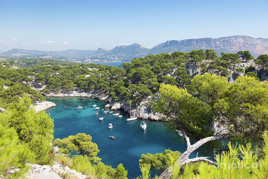 Calanques of Port Pin in Cassis Photograph by Samuel Borges - Fine Art ...