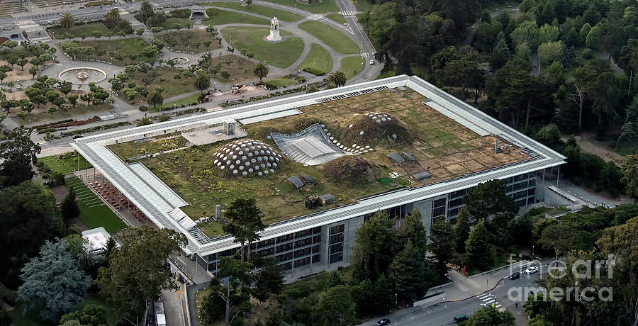 California Academy of Sciences Living Roof in San Francisco #2 Photograph by David Oppenheimer