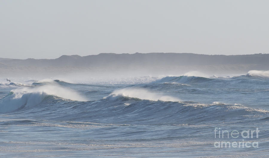California Coast #1 Photograph by Jacklyn Duryea Fraizer