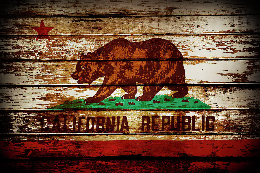 California flag #1 Photograph by Les Cunliffe