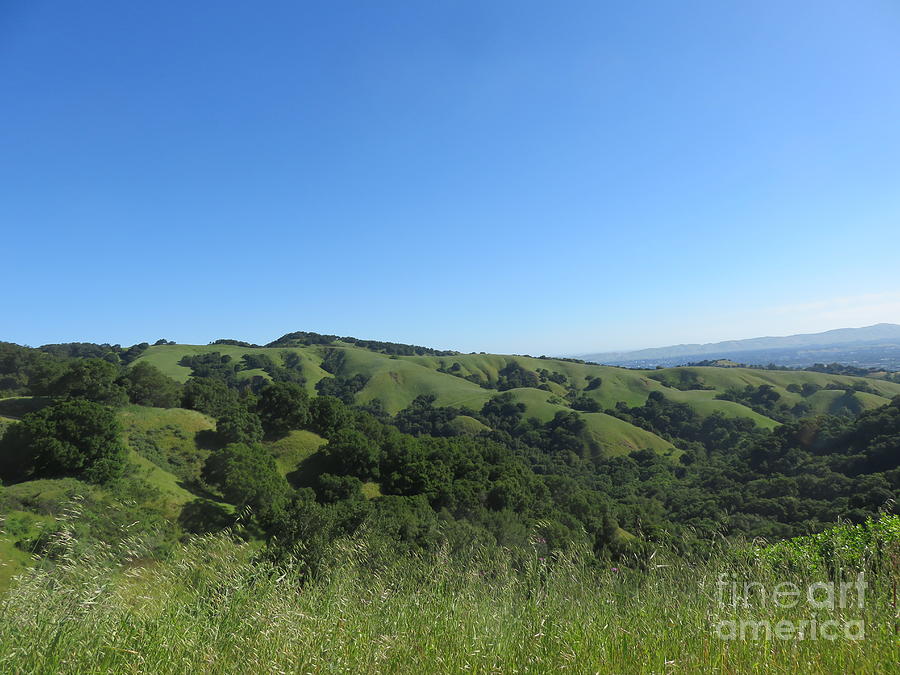 Nature Photograph - California hills #2 by Suzanne Leonard