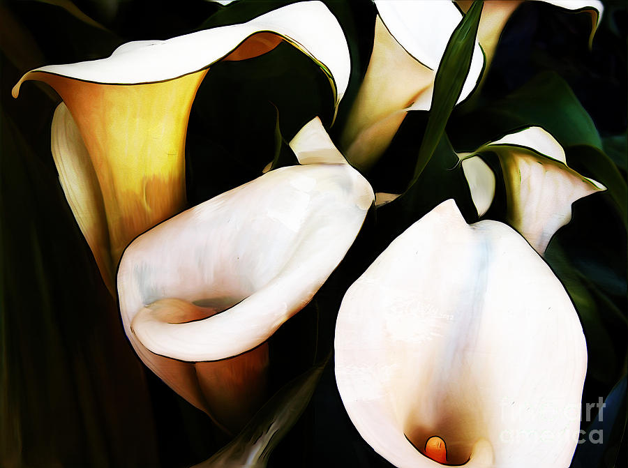 Calla Lilly Painting by Gull G