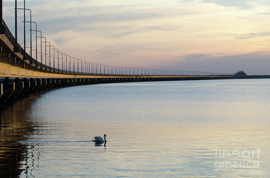 Calm Evening By The Bridge Photograph