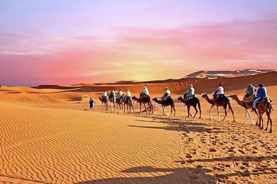 Sunset Photograph - Camel Caravan Going Through The Sahara #1 by Worldfotoart  Masselink