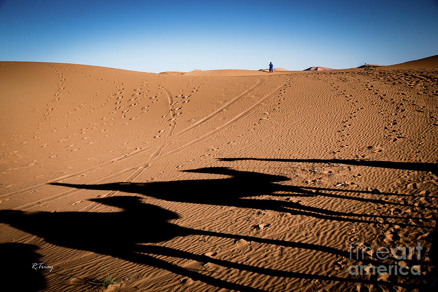Sunset Sahara Camel Caravan Photograph by Rene Triay FineArt Photos
