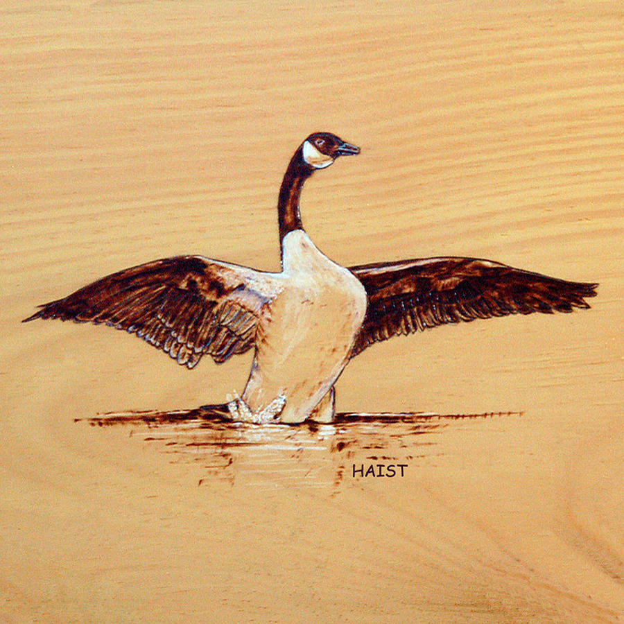 Canada Goose #2 Pyrography by Ron Haist