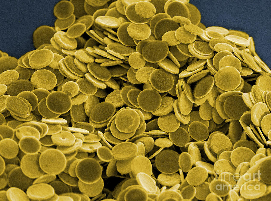 Cancer Research With Nanotechnology, Sem #2 Photograph by Science Source