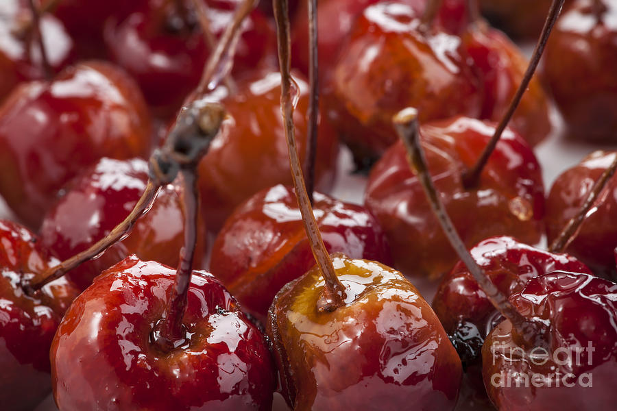 Candied crab apples 2 Photograph by Elena Elisseeva