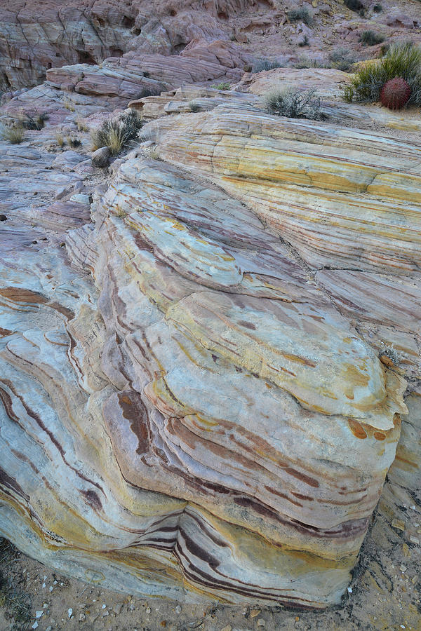Candy Colored Sandstone in Valley of Fire #1 Photograph by Ray Mathis