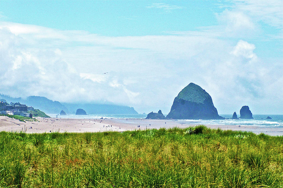 Cannon Beach in Ecola State Park, Oregon #1 Photograph by Ruth Hager