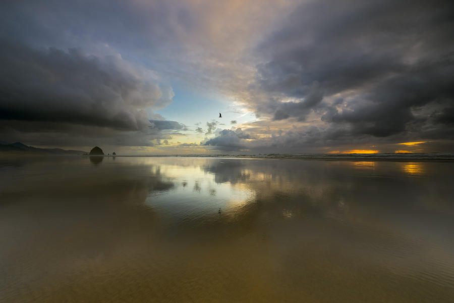 Cannon Beach Solace Photograph by Paul Rodriguez - Fine Art America