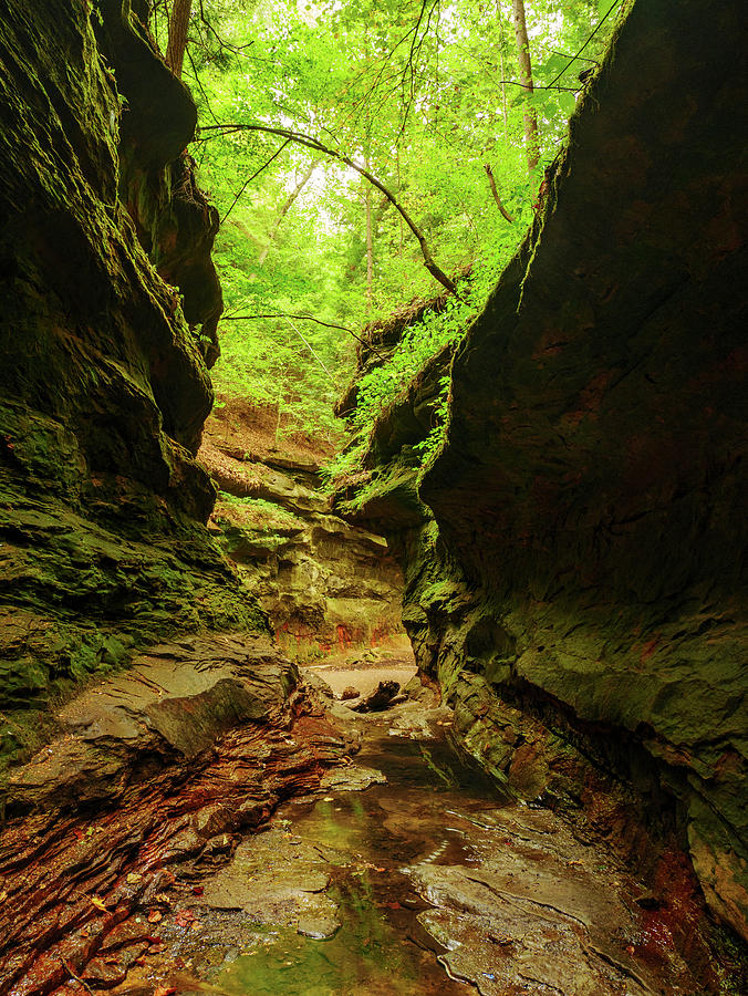 Rocky Hollow Photograph by Todd Bannor