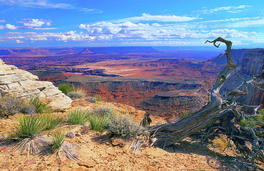Canyonlands #1 Photograph by Frank Houck