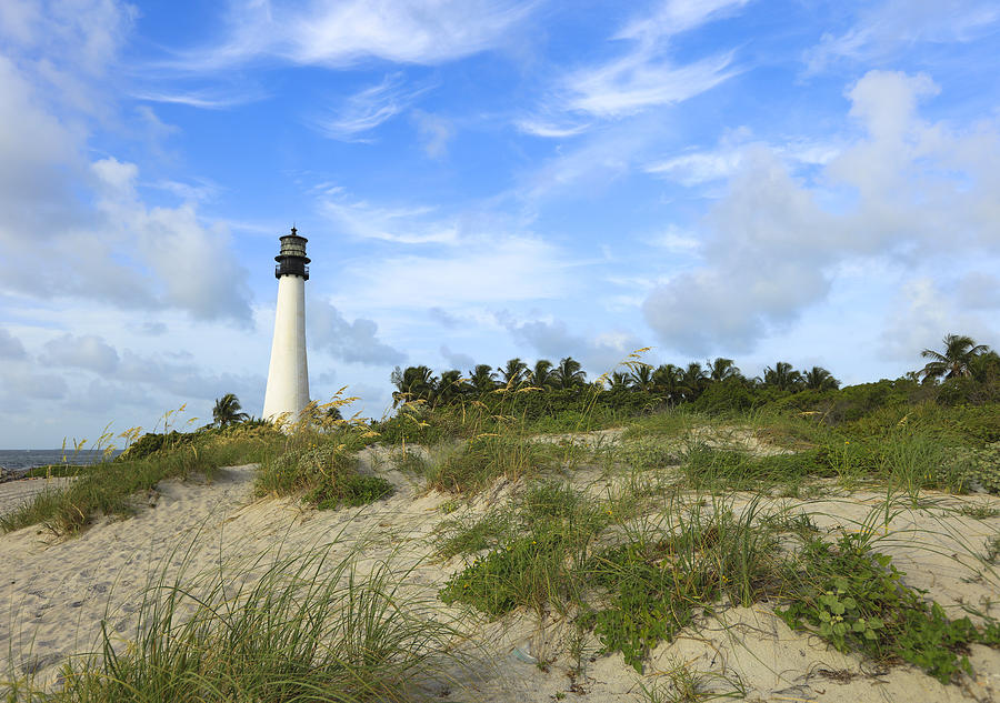 Cape Florida Lighthouse #1 Photograph by Sean Allen