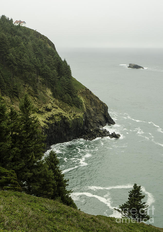 Tree Photograph - Cape Foulweather Seascape #1 by Nick Boren
