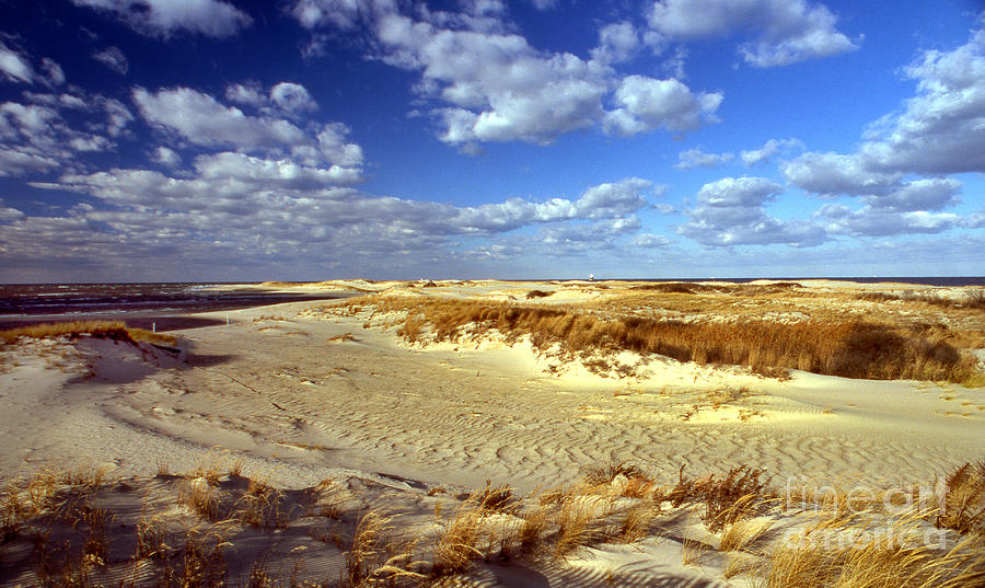 Cape Henlopen #1 Photograph by Skip Willits