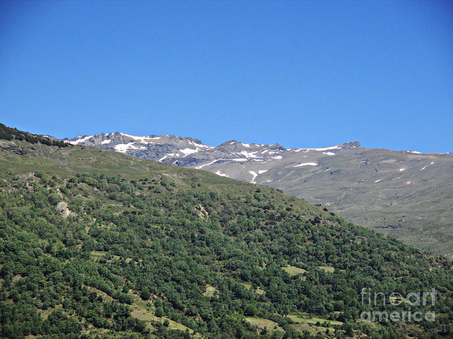 Sierra Nevada from Capileira  Photograph by Chani Demuijlder