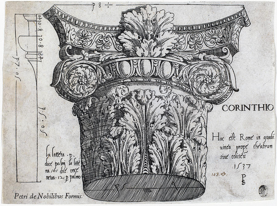 Capital from the Colosseum, Rome #1 Drawing by Master PS